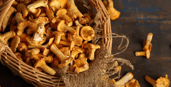 Assortment of dried mushrooms in a woven basket.