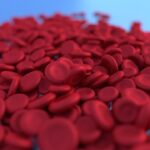 blood group diet