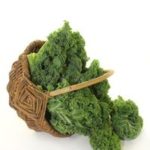 Brussel Kale: The Superfood Of The Future