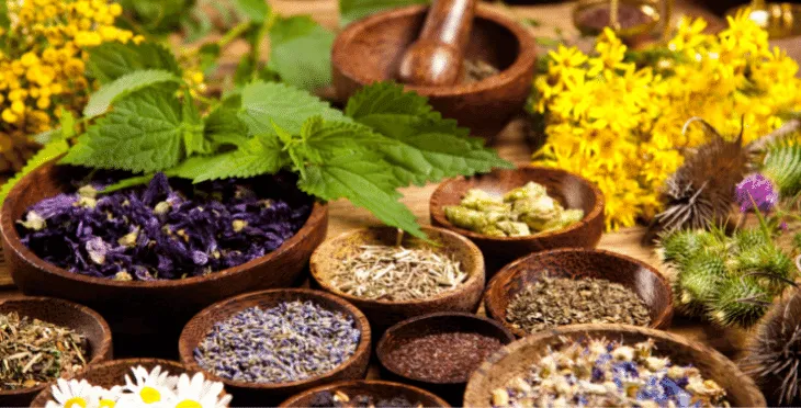 Wooden bowls filled with different herbs and spices.