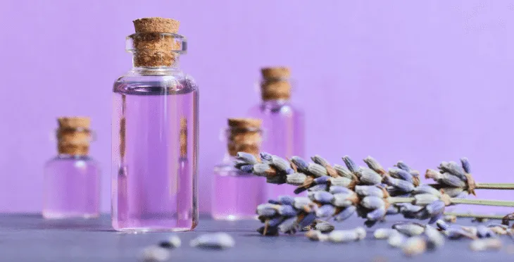 Small glass bottles of essential oils with sprigs of lavender on a purple background.