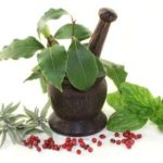 Southeast Wise Women Herbal