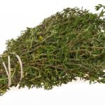 Is it really "thyme" to grow herbs?