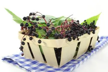 Does herbal medicine also have scientific values
