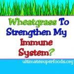 wheatgrass immunesystem