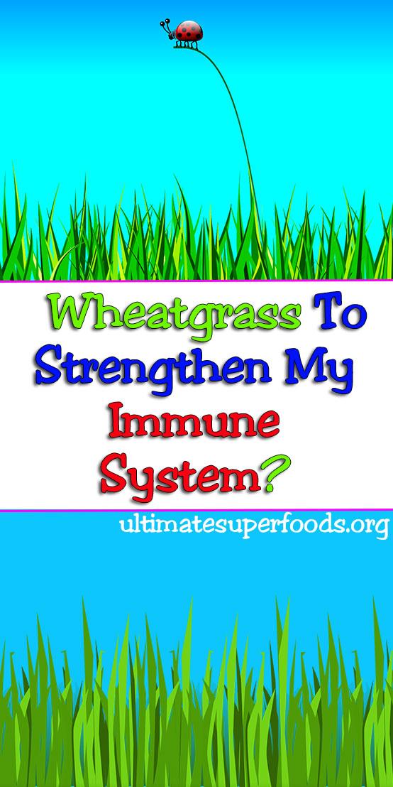 wheatgrass immunesystem