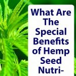 Superfood-Hemp-Seed
