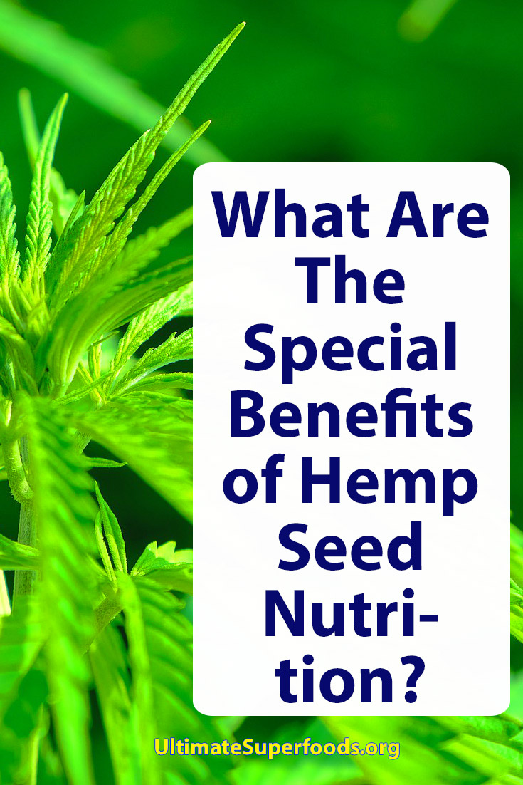 Superfood-Hemp-Seed