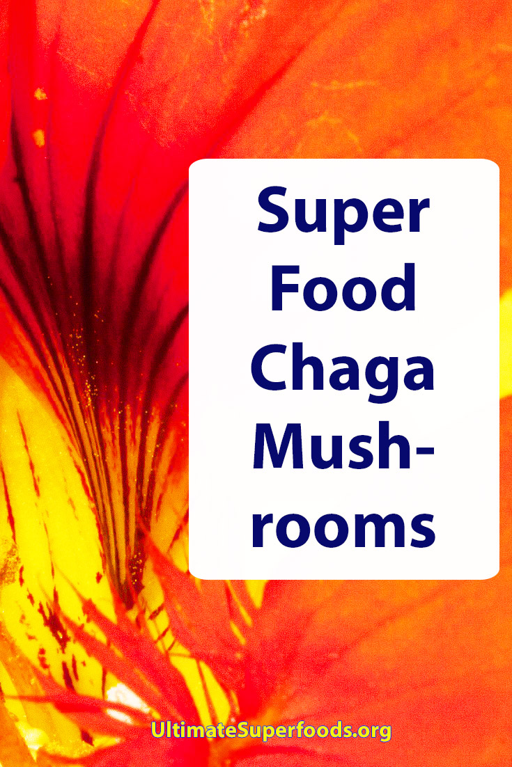 Superfood-Chaga-Mushroom