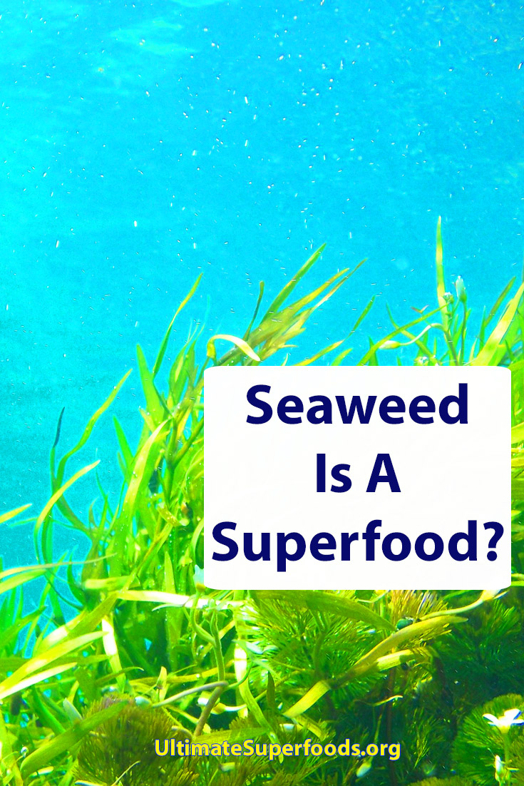 Superfood-Seaweed