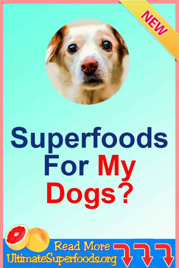What Are Great Superfoods For Your Dogs? Ultimatesuperfoods
