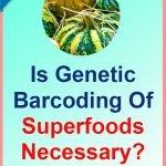 Superfoods-Genetic