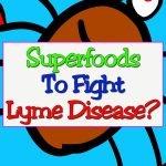lyme-disease