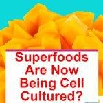 Superfoods-Cell-Cultured