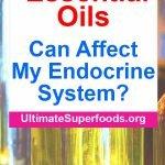 Affecting My Endocrine System?
