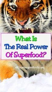 superfood-power