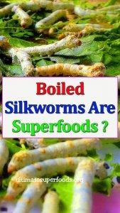 boiled-silkworm