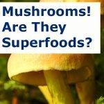 Mushrooms! Are They Superfoods?