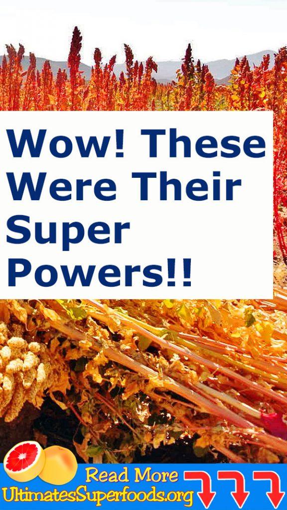 Superfood-Superpowers