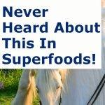 Superfood-in