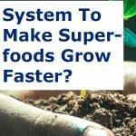 Making A Way To Make Superfoods Grow Faster?