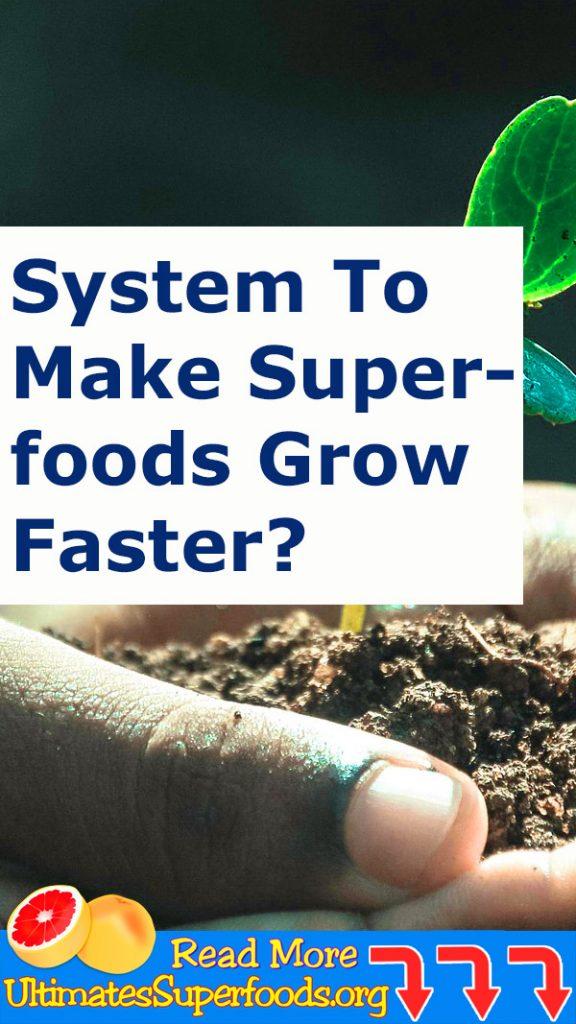 Making A Way To Make Superfoods Grow Faster?