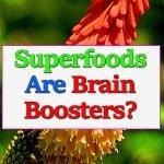 superfood-brain-booster