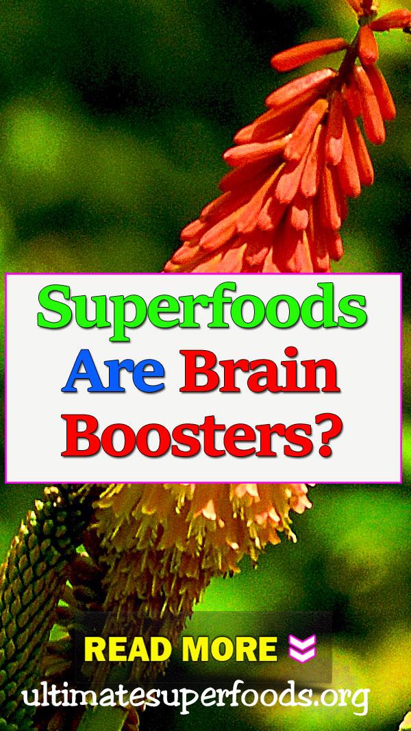 superfood-brain-booster