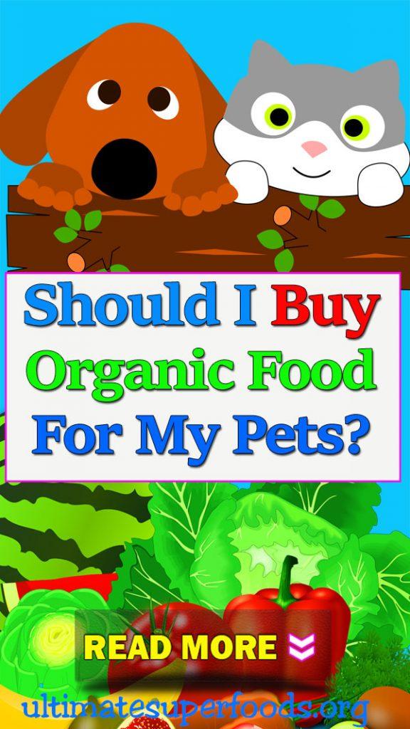 superfood-buy-organic-pets