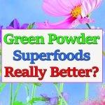 superfood-green-powder-better