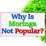 superfood-moringa