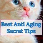 superfoods-antiaging-secret-tips