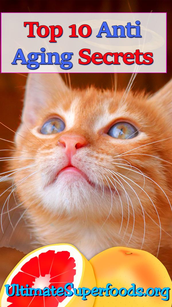 superfoods-antiaging-secrets