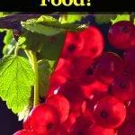 superfoods-antiinflammatory-food