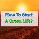 superfoods-green-life