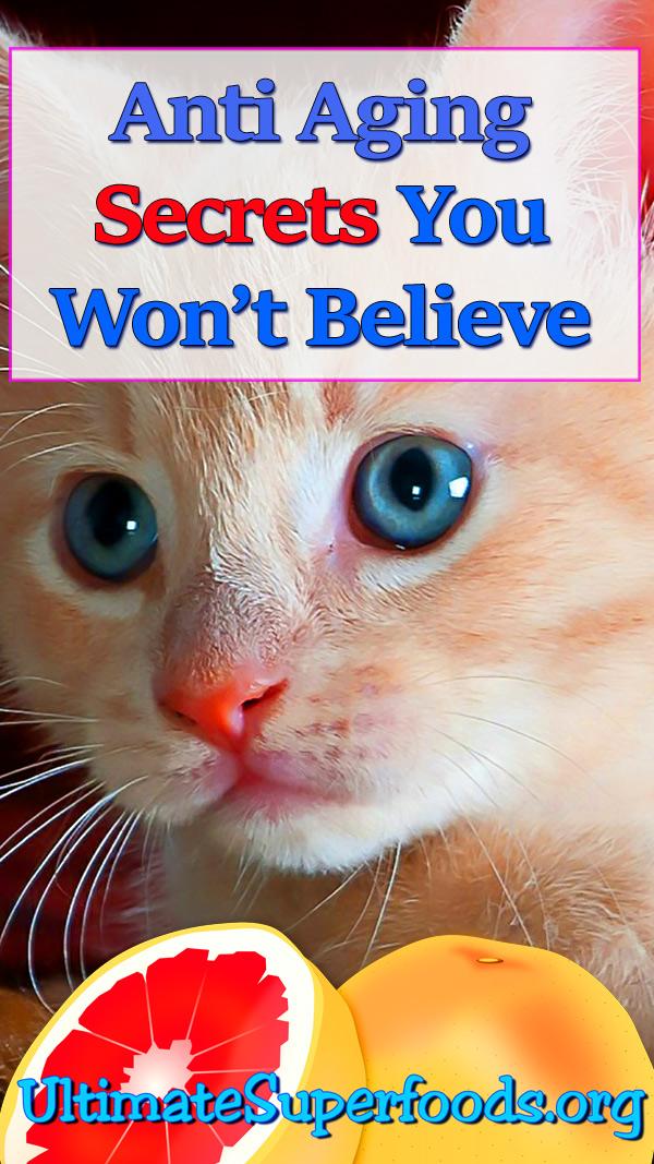superfoods-secrets-antiaging