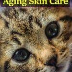 superfoods-skin-care