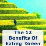 12-benefits-vegetables