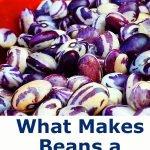 What makes beans a superfood