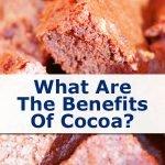 What Are The Benefits Of 🍫 Cocoa Nibs❓