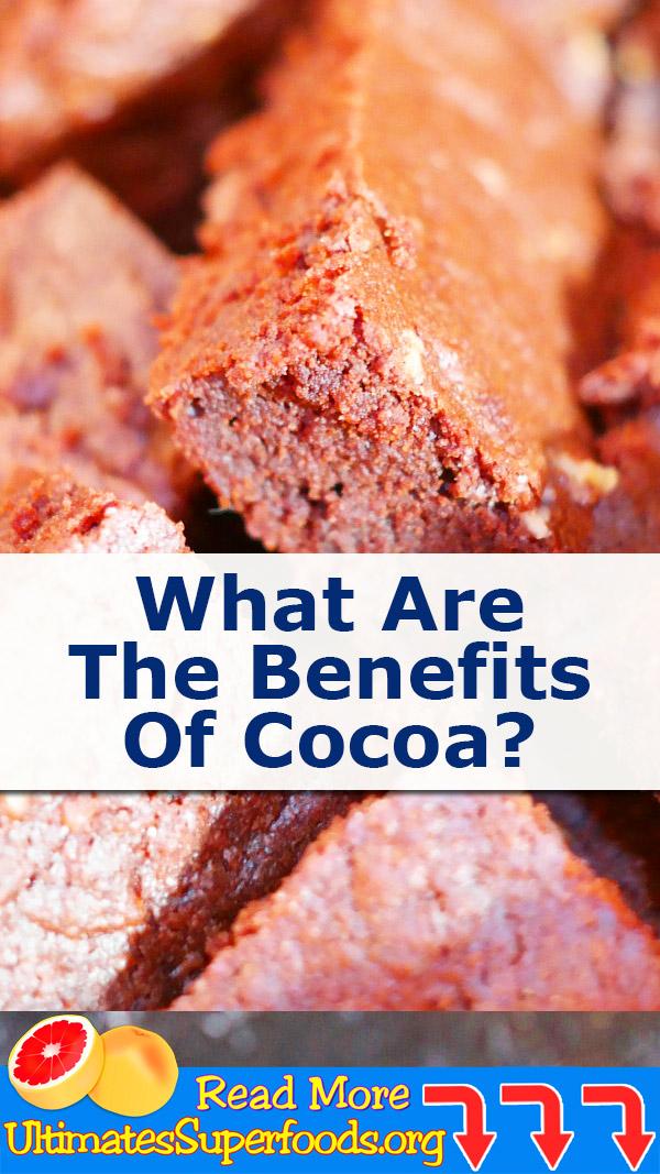 What Are The Benefits Of 🍫 Cocoa Nibs❓