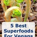 5 best suerfoods for vegans