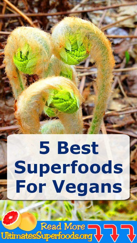 5 best suerfoods for vegans