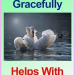 Superfood-Anti-Aging-Gracefully