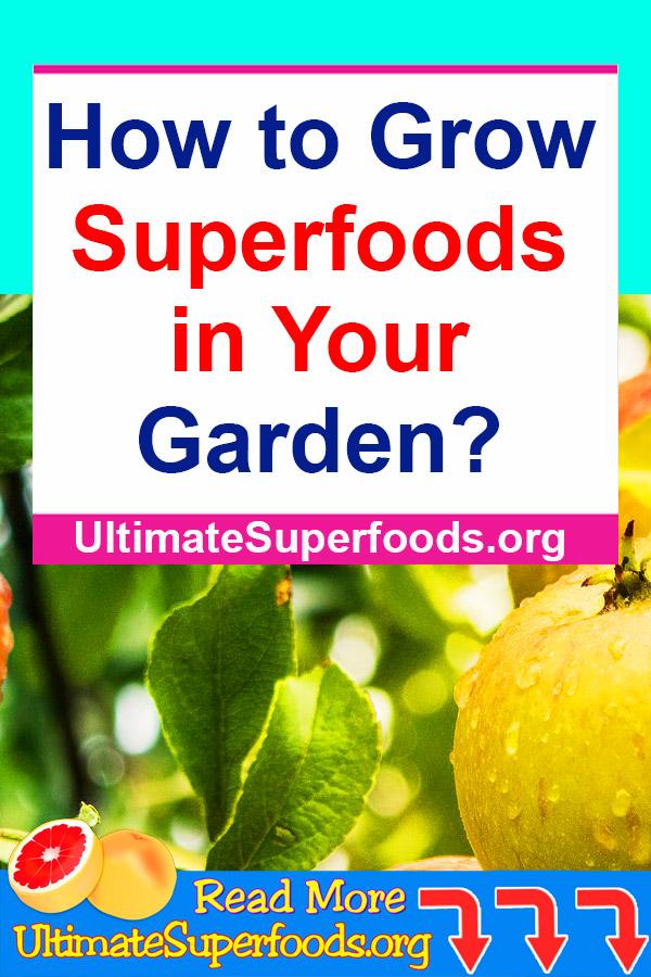 Superfoods-Garden