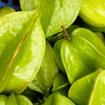 Fresh green starfruit hanging on a tree.