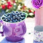 Blueberries Nutrition Facts