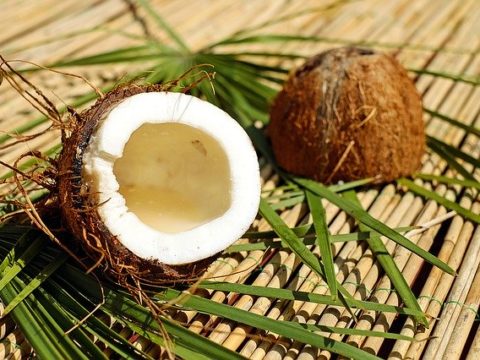 Coconut Health Benefit