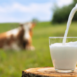 Fresh milk being poured into a glass in a pastoral setting.