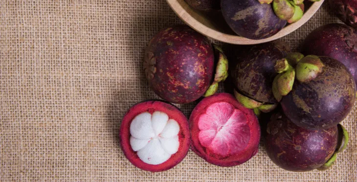 Close-up of mangosteen fruit and its purple rind.